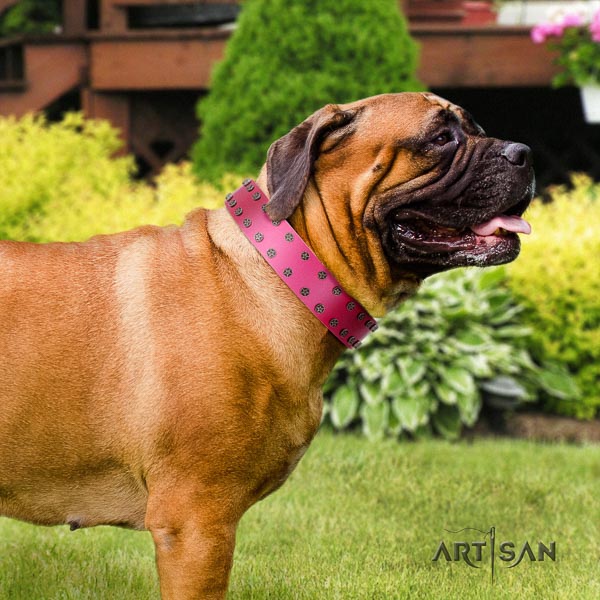 Bullmastiff significant full grain genuine leather collar with decorations for your pet