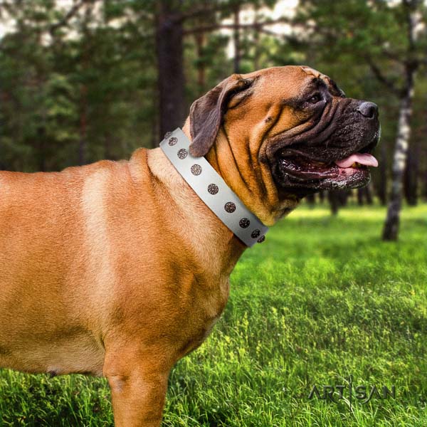 Bullmastiff handcrafted full grain genuine leather collar with embellishments for your doggie