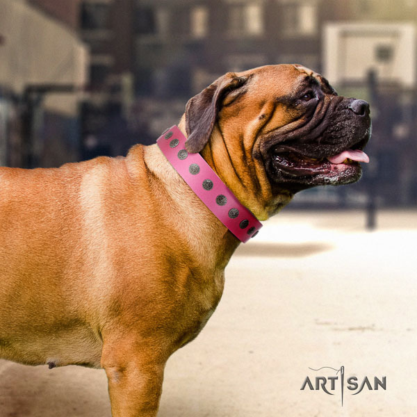 Bullmastiff awesome genuine leather collar with decorations for your dog