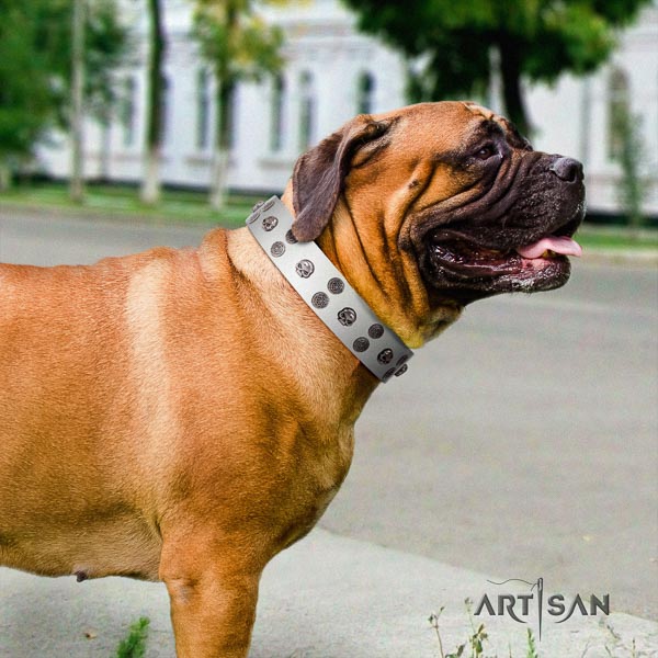 Bullmastiff stylish genuine leather collar with decorations for your doggie