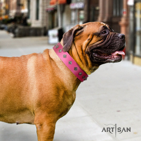 Bullmastiff comfortable full grain leather collar with decorations for your four-legged friend