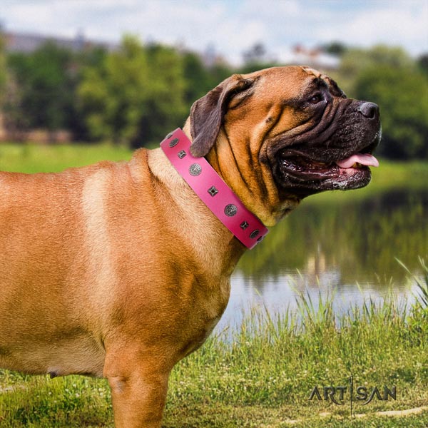 Bullmastiff comfortable leather collar with embellishments for your four-legged friend