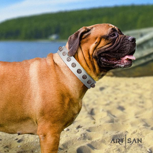 Bullmastiff top notch leather collar with decorations for your doggie