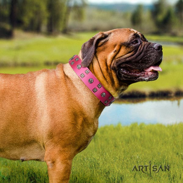 Bullmastiff incredible natural genuine leather collar with embellishments for your canine