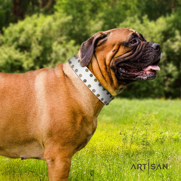 Bullmastiff everyday use genuine leather collar with studs for your four-legged friend