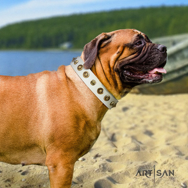 Bullmastiff stylish walking leather collar with adornments for your four-legged friend