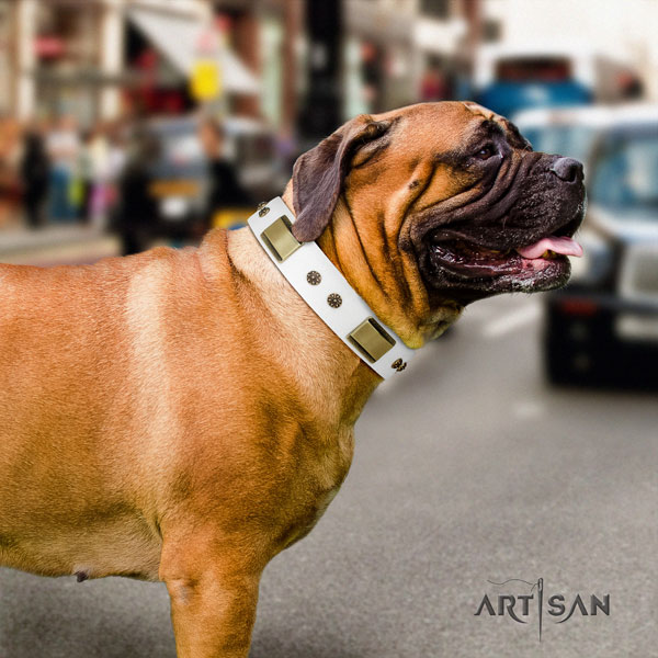 Bullmastiff studded genuine leather dog collar for your attractive pet