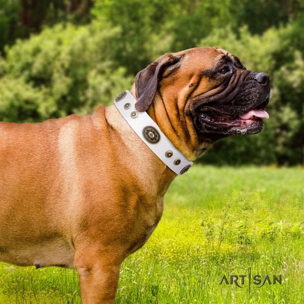 Bullmastiff embellished leather dog collar for your lovely dog