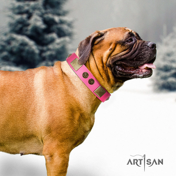 Bullmastiff comfy wearing full grain natural leather collar with embellishments for your canine