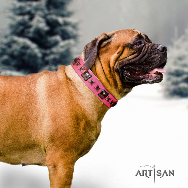 Bullmastiff embellished full grain natural leather dog collar for your beautiful four-legged friend