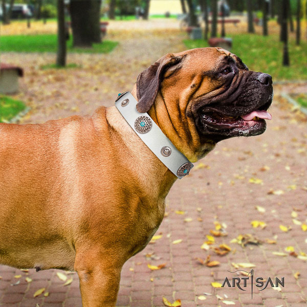 Bullmastiff fashionable leather dog collar with decorations for handy use