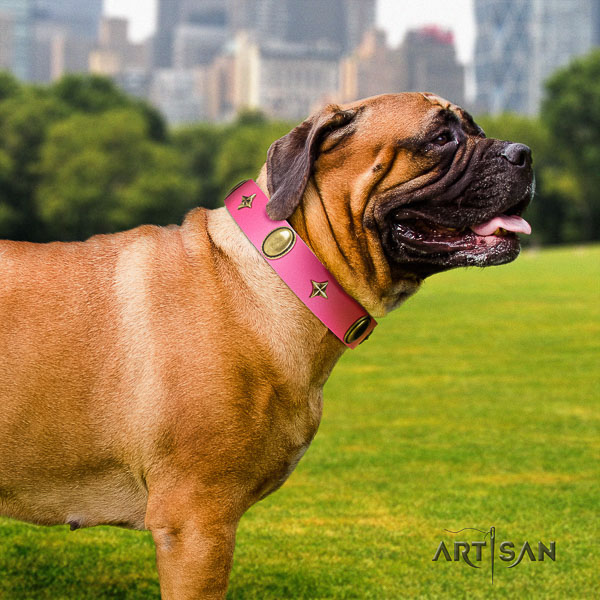 Bullmastiff handy use genuine leather collar with decorations for your four-legged friend