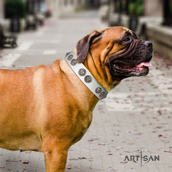 Bullmastiff unique genuine leather dog collar with embellishments for stylish walking
