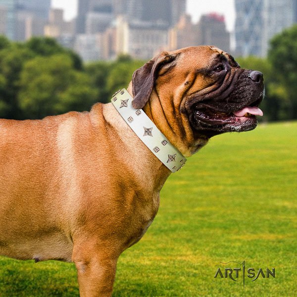Bullmastiff incredible full grain leather dog collar with decorations for daily use