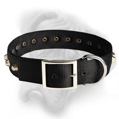 Highly functional     Nylon Dog Collar for bullmastiff