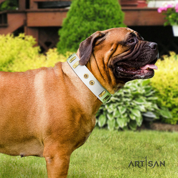 Bullmastiff comfy wearing genuine leather collar with decorations for your canine