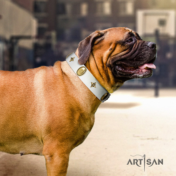 Bullmastiff walking full grain genuine leather collar with embellishments for your canine