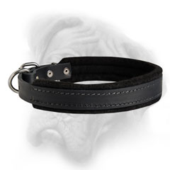 Bullmastiff dog collar with rivted nickel hardware