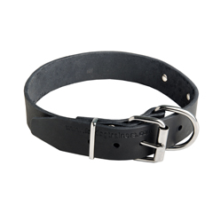 Fasionable Bullmastiff Dog Collar equipped with bucle,D-ring and id tag 