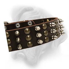 Bullmastiff collar with colomns of spikes and studs