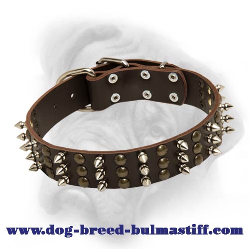 Bullmastiff leather dog collar with impressive columns of studs and spikes  [S59##1014 3 spikes+3 brass studs leather collar] : Bullmastiff dog  harness, Bullmastiff dog muzzle, Bullmastiff dog collar, Dog leashes