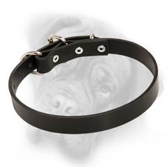 Bullmastiff leather dog collar