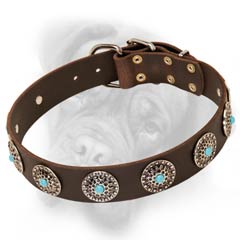 Bullmastiff quality leather dog collar with decorations