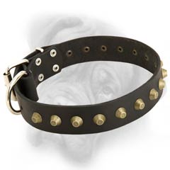 Bullmastiff quality leather dog collar with decorations