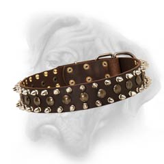 Bullmastiff decorated collar