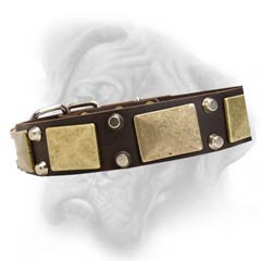 Bullmastiff dog collar with rivets