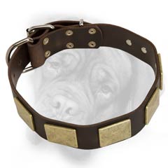 Bullmastiff quality leather dog collar with decorations