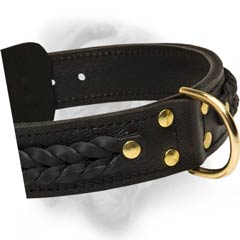 Bullmastiff  collar with cool braids