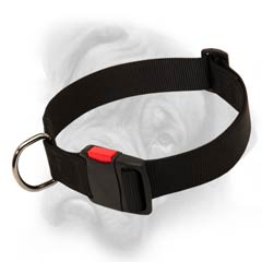 Bullmastiff nylon collar