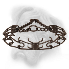 Prong collar of black antique copper plated steel for  Bullmastiff