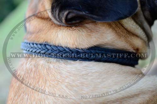 Choke dog collar braided