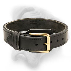 Bullmastiff dog collar rivted