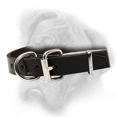 Quality leather dog collar