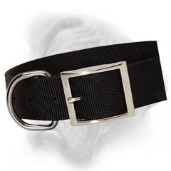 Best nylon collar