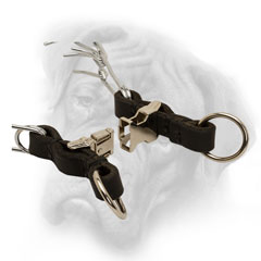 Steel quick release buckle for Bullmastiff prong  collar