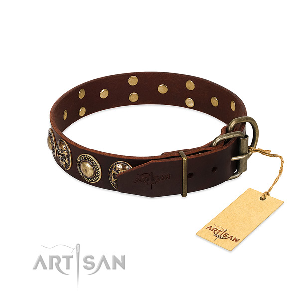 Corrosion resistant buckle on comfy wearing dog collar