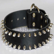Bullmastiff Leather Spiked Dog Collar