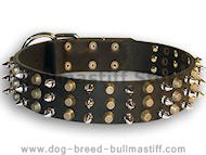 Easy Adjustable Stylish Decorated Leahter Bullmastiff Collar