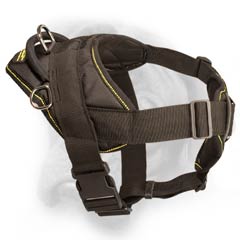 Bullmastiff all weather harness