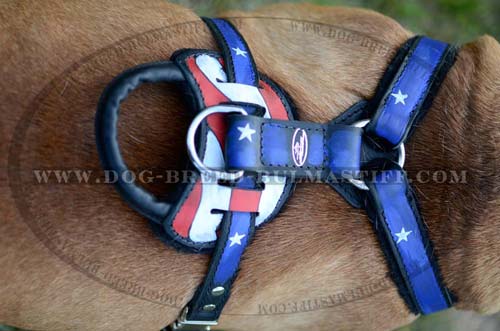 Easy WalkingBullmastiff Harness