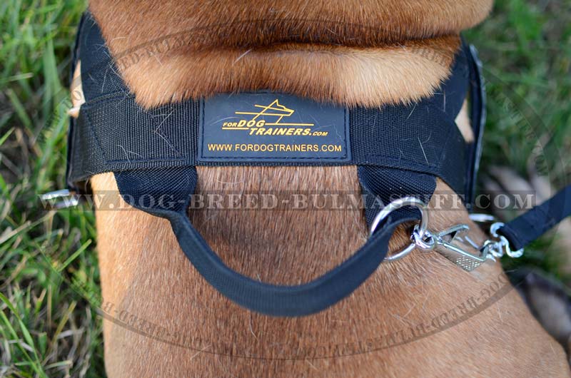 Better control everyday all weather dog harness for Bullmastiff - H17  [H17##1073 Nylon harness with id patches] - $38.99 : Best quality dog  supplies at crazy reasonable prices - harnesses, leashes, collars