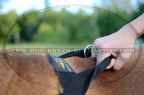 Nylon harness with handle for Bullmastiff breed