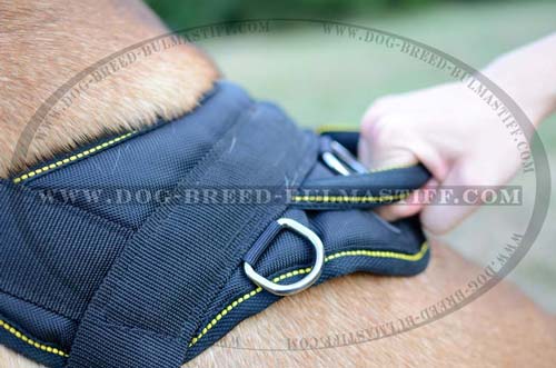 Bullmastiff training harness