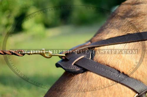 Bullmastiff training harness