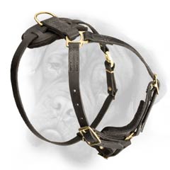 Inside padding harness