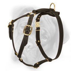 Pure leather dog harness for Bullmastiff